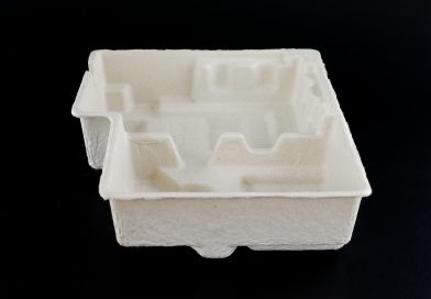 Pulp Mold